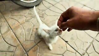 I didn't think of helping you then... until this moment