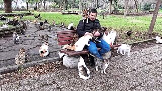 A man who uses stray cat fur as a sweater in cold weather