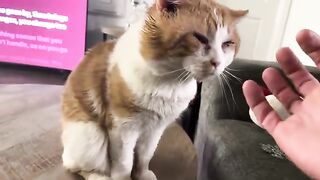 Big cheekies little cheekies