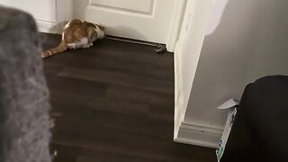 Coming out the wrong way