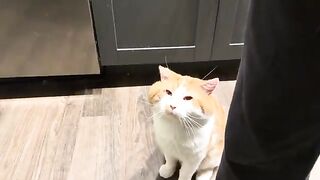 Petting this creature of love