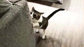 So destructive