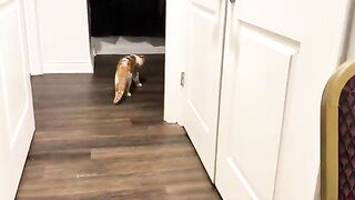 Panic! In the bathroom