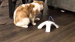 Can’t have nice things
