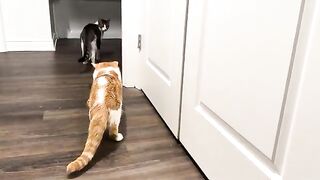 Not invited