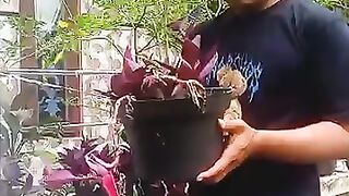 Funny videos that will make you laugh???????????? #funny #comedy #trending #shorts