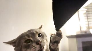 Can I have my hand back?