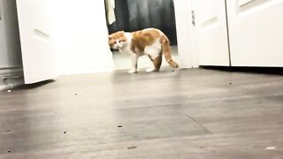 When he needs attention