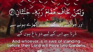 Tilawat e Quran Majeed