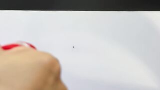 Alcohol Cannon Mosquito Killer!