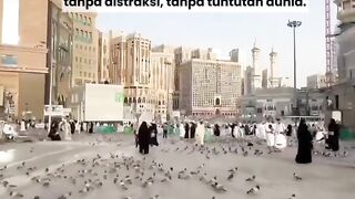 Umroh