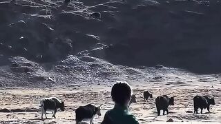 Stone Age sling, this is practically the primitive long