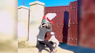 Very funny  videos ????????