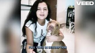 Cachorro orelha imagens portal zacarias