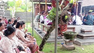 Balinese traditional wedding moments