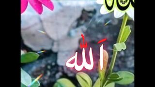Islamic video