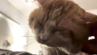 Butt Scratch