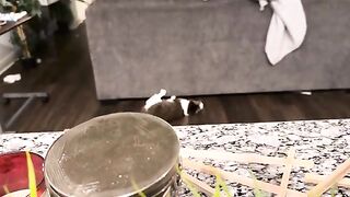 The heck goes through his mind?