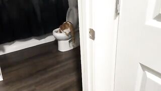 Who? Me?