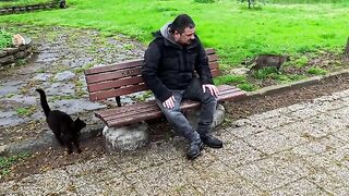 Rainy and cold days can only be warmed for this man by feeding street cats.