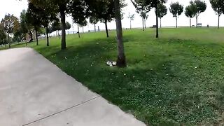 The man who never returns home without seeing the very last street cat fed.