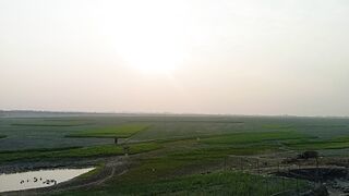 The gentle afternoon sun that fills the mind