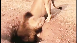 I get 40 million view on video