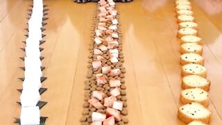 Food Challenge Frenzy: Human vs. Dog vs. Cat!