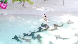 Vaavu Thinadhoo Shark Beach