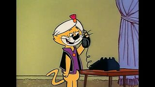02. don gato