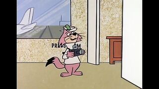 04. don gato