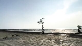 Beautiful nature