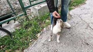 We eventually became friends with the black cat, who was a bit timid at first