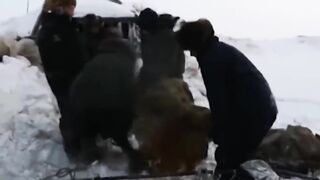 What they found frozen in ice surprised everyone