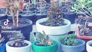 Fiber plastic pots