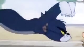Tom and Jerry cartoon funny video
