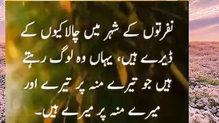 Donia kay rang
