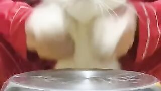 cat play drum by himself