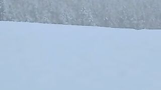 Winter sesson