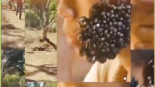 Most Harmful Insects in the World, #short