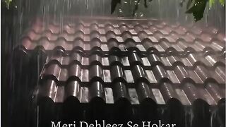 Sammer rain