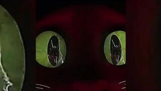 TikTok computation| Funny video2022