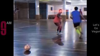 Try Not To Laugh Funny Videos Funny Mome
