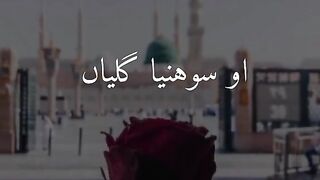 new beautiful video