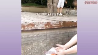 Funny and Cute Dog Pomeranian ????????| Funny Puppy Videos