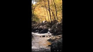 Earn _25_Daily From YouTube Shorts by Copy-Paste Online Work from Home