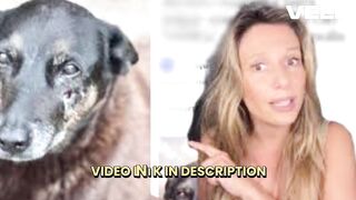 [Ver] cachorro orelha imagens portal zacarias cachorro orelha portal zacarias