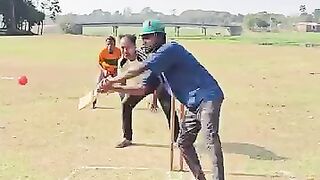 Committing funny video 2026