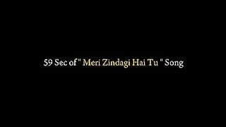 Mere Zindagi ha tu drama song
