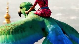 terbang mengelilingi angkasa